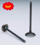 Motorcycle Parts Engine Valve (CG125)