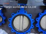 Cast Iron Lug Butterfly Valve (D7L1X-10/16)