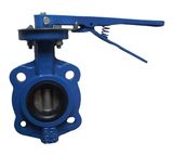 Wafer Butterfly Valve with Lever Manufacturer