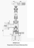 Wy963y-6.4V Temperature & Pressure Reducing Valve