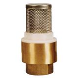 Brass Filter Valve (JD-4011)