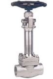 Forged Steel Cryogenic Globe Valve