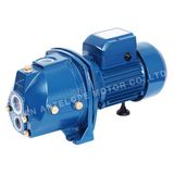 Self-Priming Deep Well Pump (JDW)