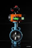 Pneumatic Butterfly Valve