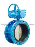 Double Flange Type Butterfly Valve with Worm Gear (D341X)