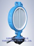 PTFE Lining Wafer Butterfly Valve (D371F4-10/16)