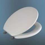 Baby Toilet Seat (CL-L5504)