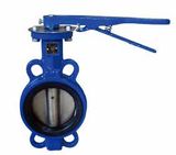 Wafer Type Butterfly Valve with Gear Operator