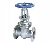 Stainless Steel Gate Valves