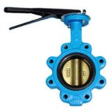 Cast Iron Body Bronze Disc Lug Butterfly Valve