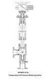 Wy963y-6.4V Temperature & Pressure Reducing Valve