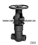 Forged Steel Gate Valve