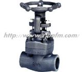 Forged Steel Gate Valve