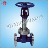 Low Temperature Gate Valve (Type: DZ41Y-25P)