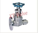 Forged Steel Extended Body Flange Gate Valve (z-150lb)