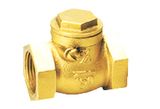 Swing Check Valve