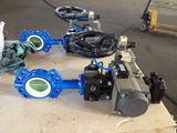 Pneumatic Butterfly Valve