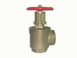 Pressure Reducing Right Angle Landing Valve (HY001-004)