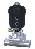 Pneumatic Diaphragm Valves