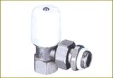 Radiator Valve