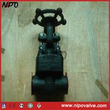 Forged Steel A105 Thread Fnpt Gate Valve