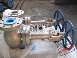 Cyrogenic Service Globe Valve with Extended Stem