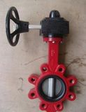 Lug Type Midline Butterfly Fay Valve