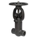 Female Threaded and Socket Welded Gate Valves