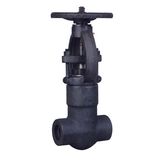 Forged Steel Gate Valve (Z11)