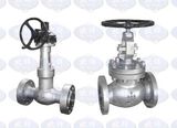 ANSI Globe Valve