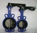 Butterfly Valve - 1