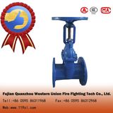 gate valve