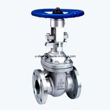 Ss304 Worm Gear Gate Valve