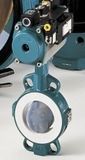 Butterfly Valve