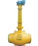 Underground Buried Control Ss CS Ball Valve