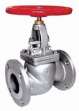 Globe Valve