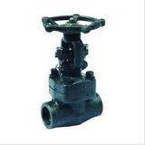 Forged Steel Straight Through Globe Valve