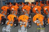 Diaphragm Control Valves