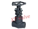 API 602 High Pressure Forged Steel Gate Valve (XT-Z11H)