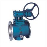 Jacket Plug Valve (Worm Gear)