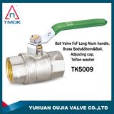 Brass Ball Valve F/F Cw617n