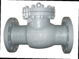 DIN Swing Check Valve