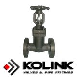 Forged Bellows Globe Valve