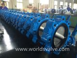 Lug Type Butterfly Valve (WDS)