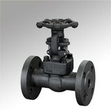 Forged Steel Flange Cryogenic Valve (DTV-Z007)