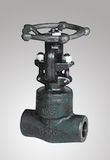 Power Station Globe Valve