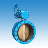 Double Flange Butterfly Valve