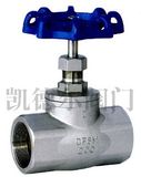 Inside-Thread Stainless Steel Globe Valve