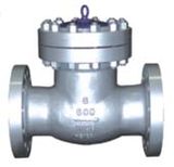 Check Valve