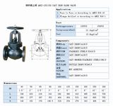 DIN Lift Globe Valve